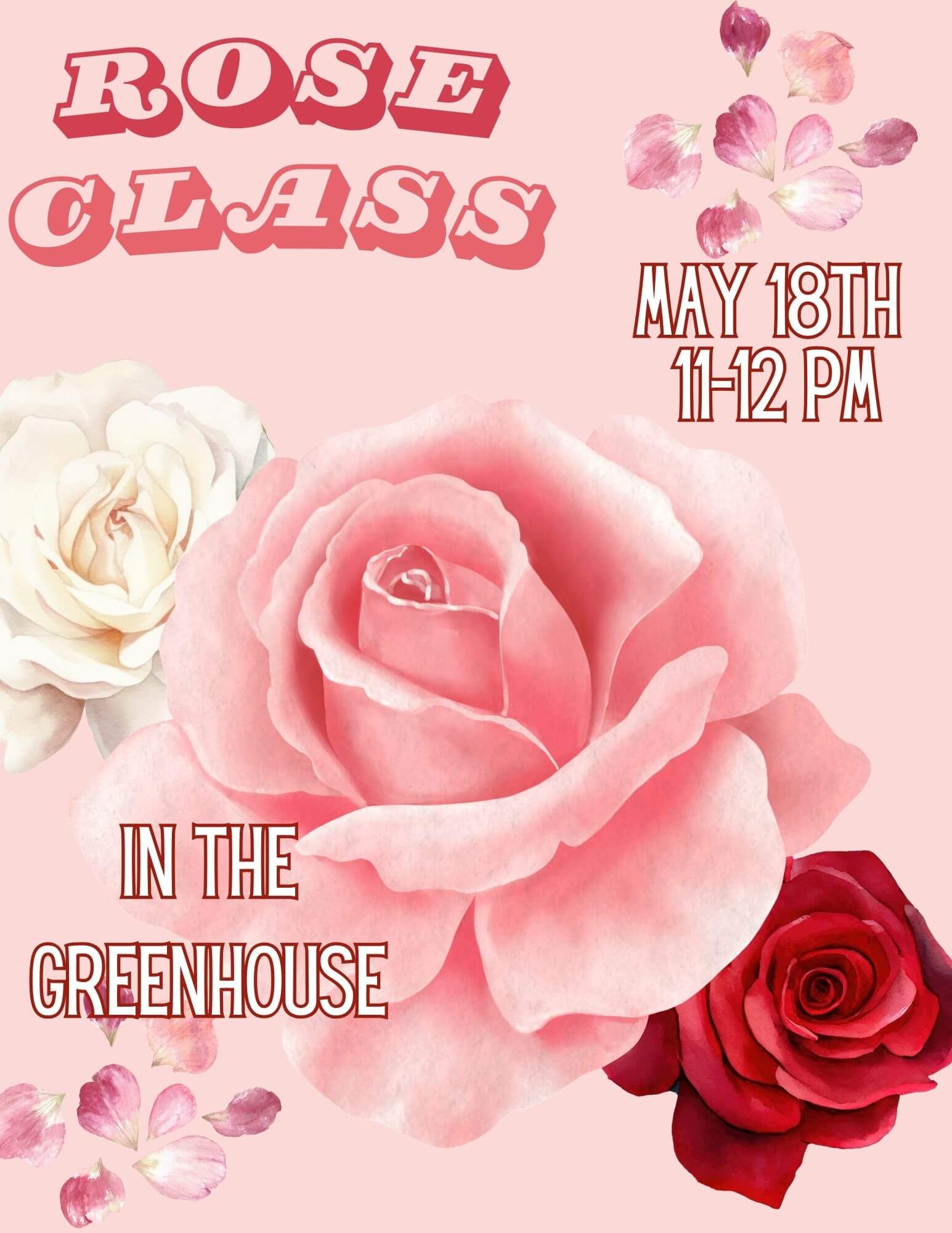 how to grow roses class bend oregon