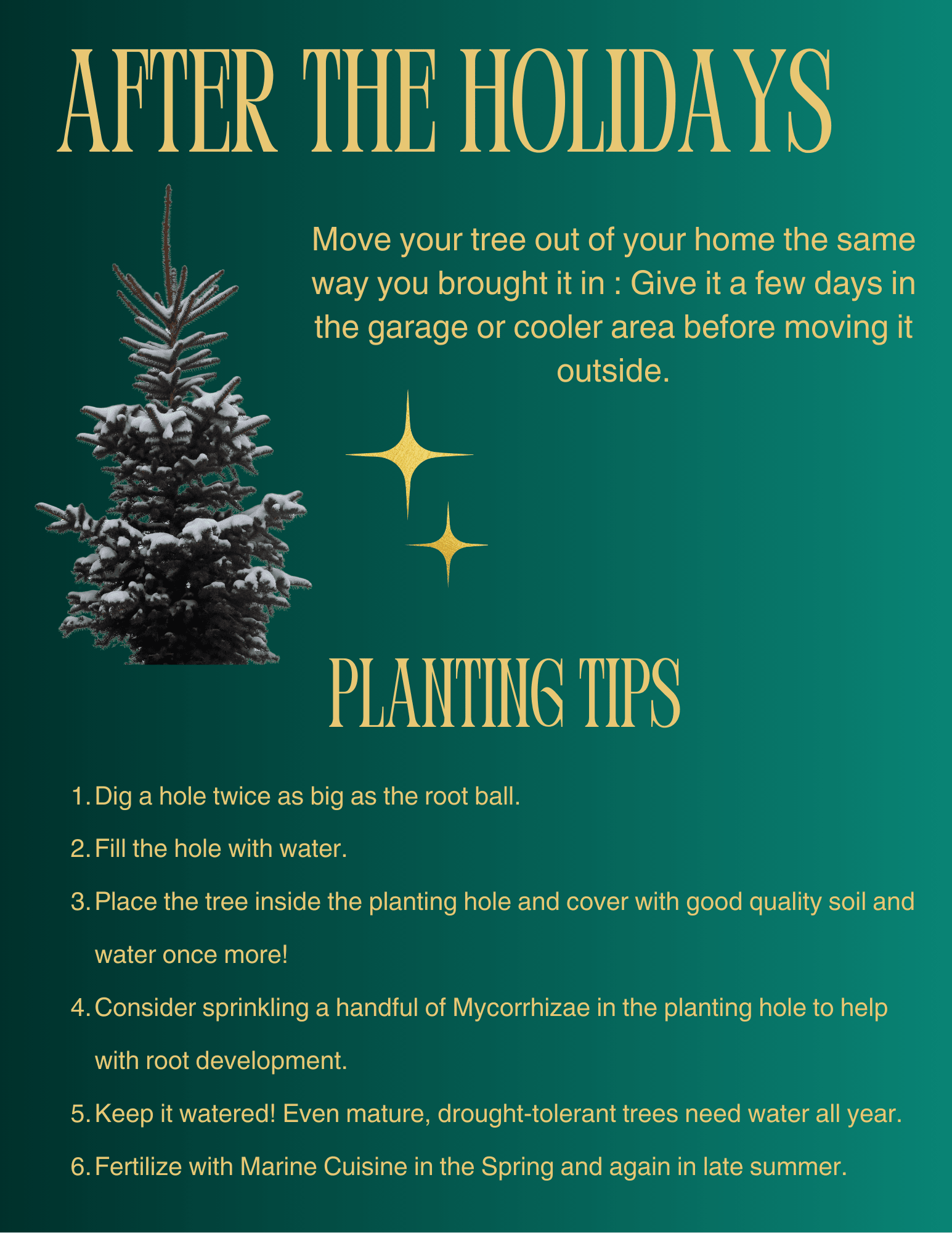 Copy of Green and Red Painted Watercolor Christmas Bookmark (8.5 x 11 in) (1)