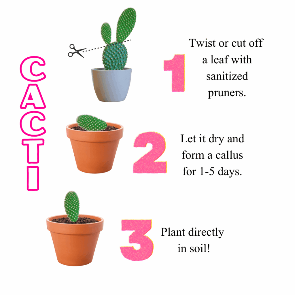 Propagation Guide