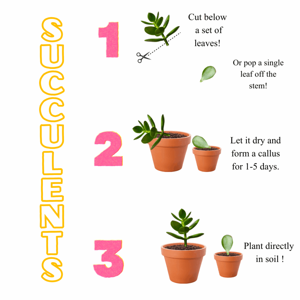 Propagation Guide