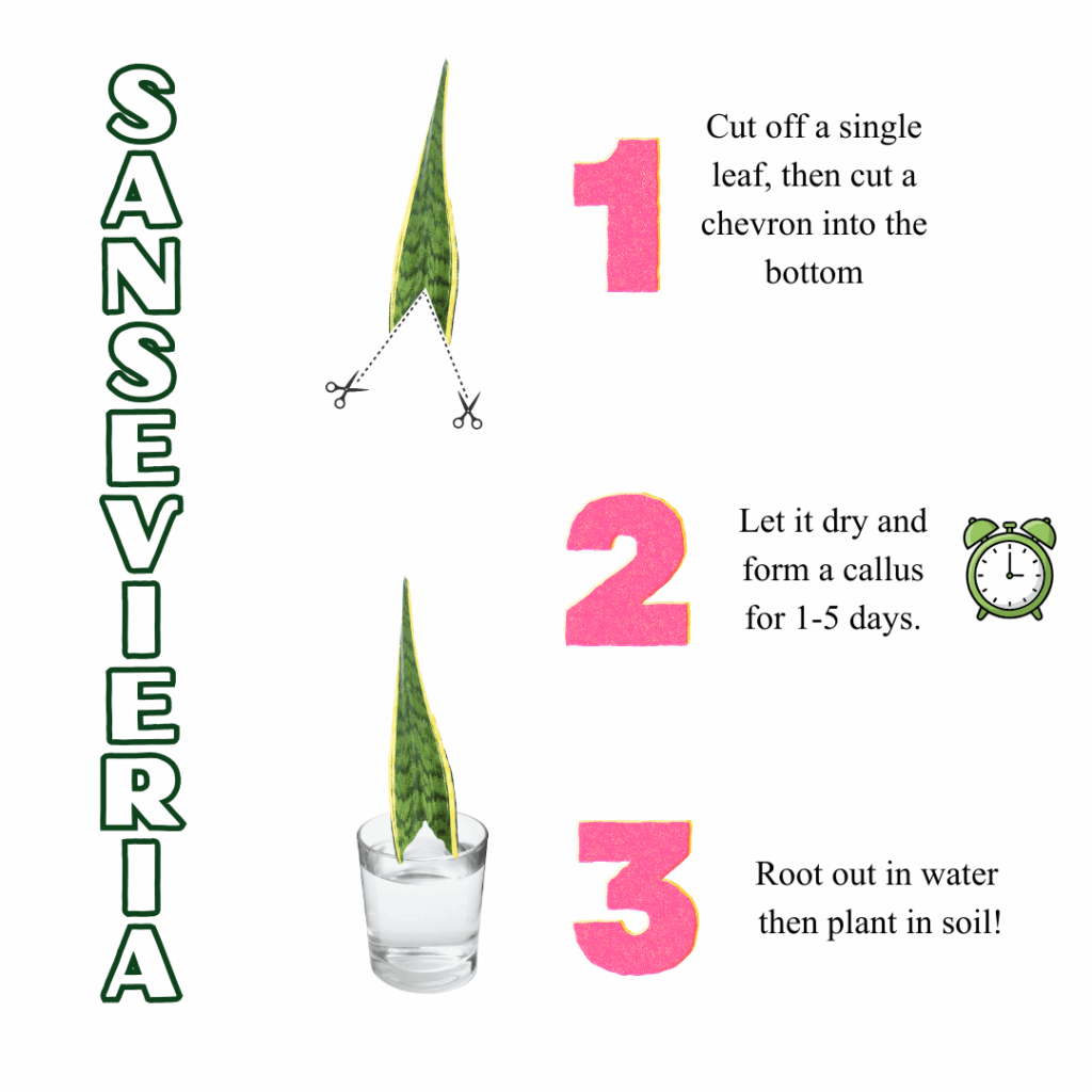 Propagation Guide