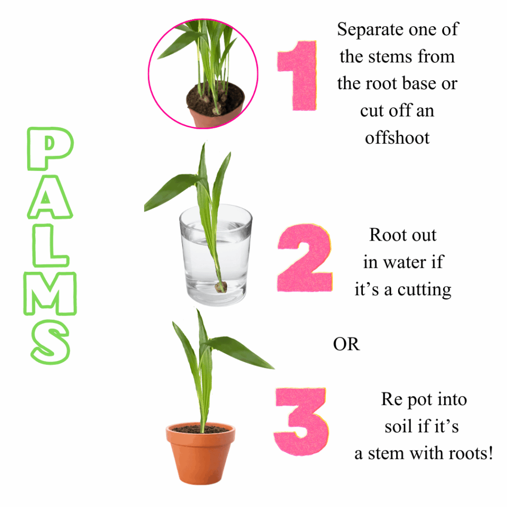 Propagation Guide