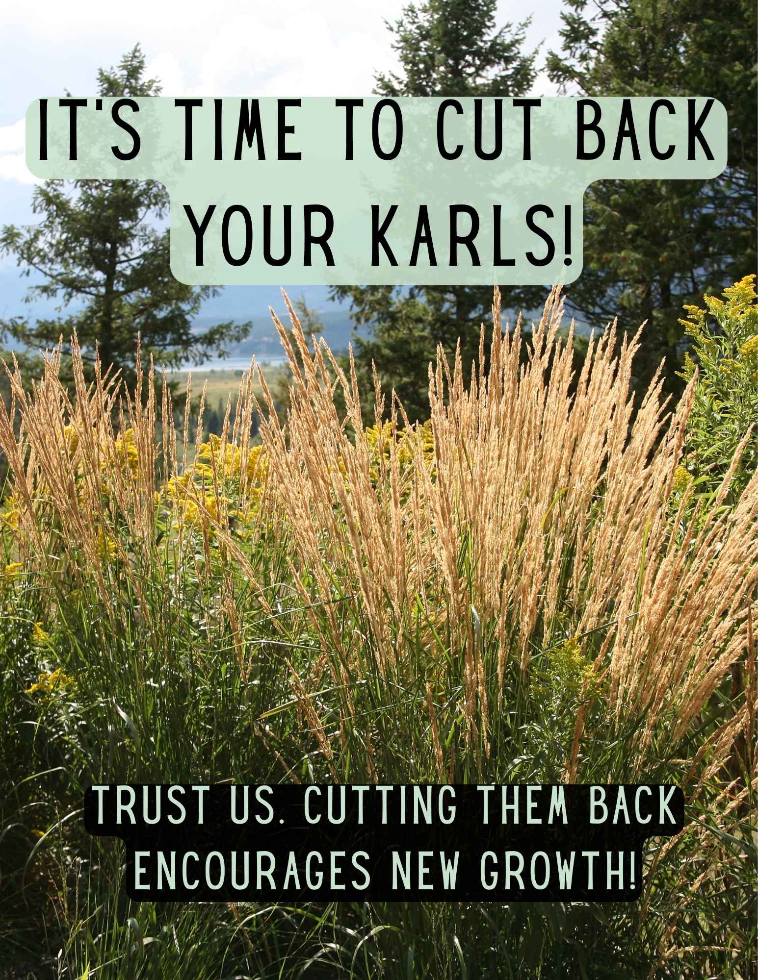 Beige Red Gradient Motivation Qoute Instagram Post (4 x 6 in)