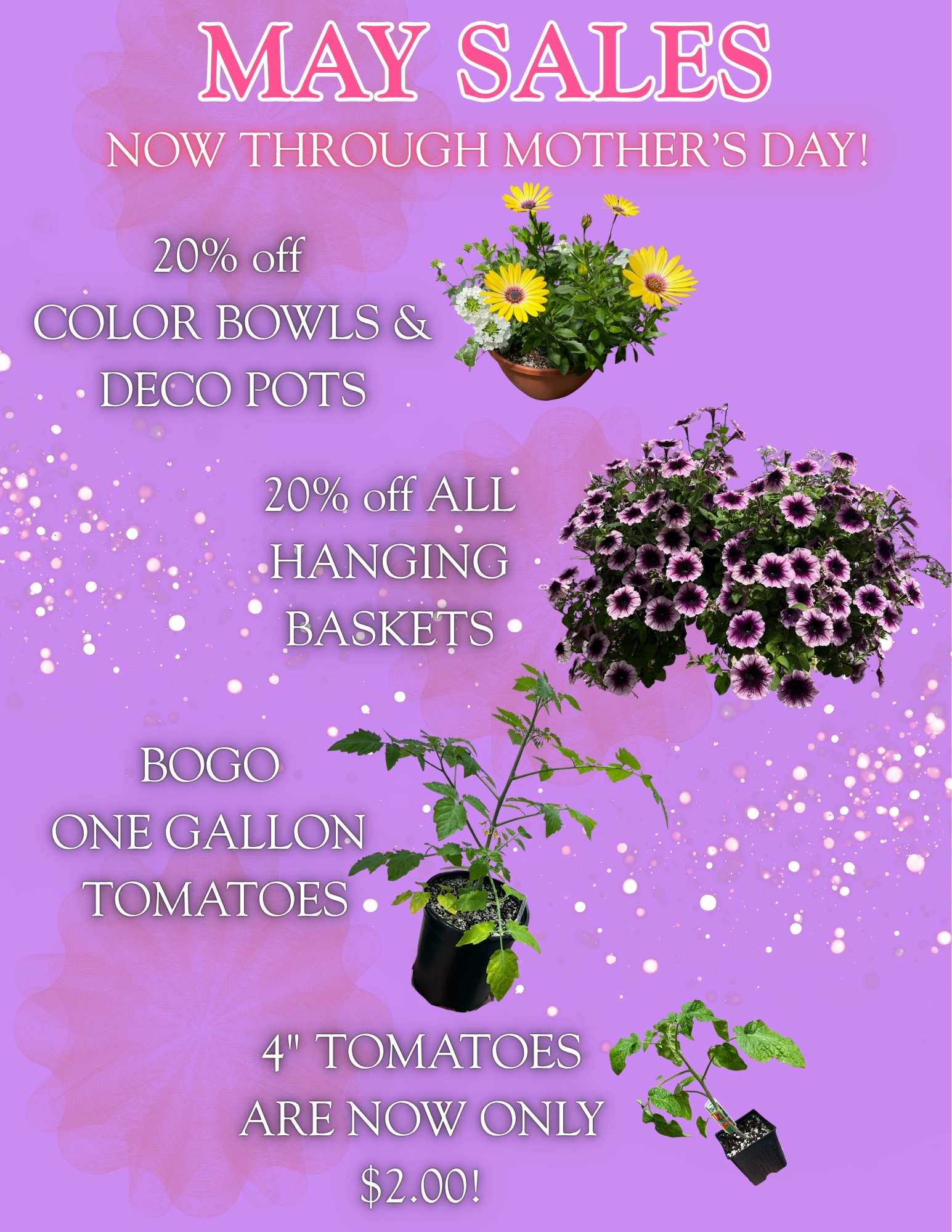 Protect your Annuals (Real Estate Flyer) (2)
