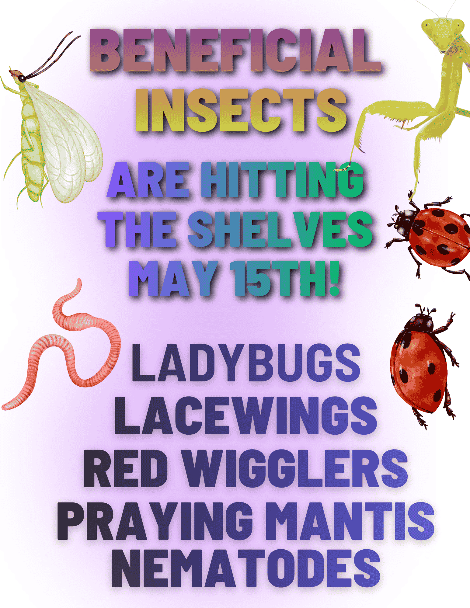 beneficial insects are here (5)