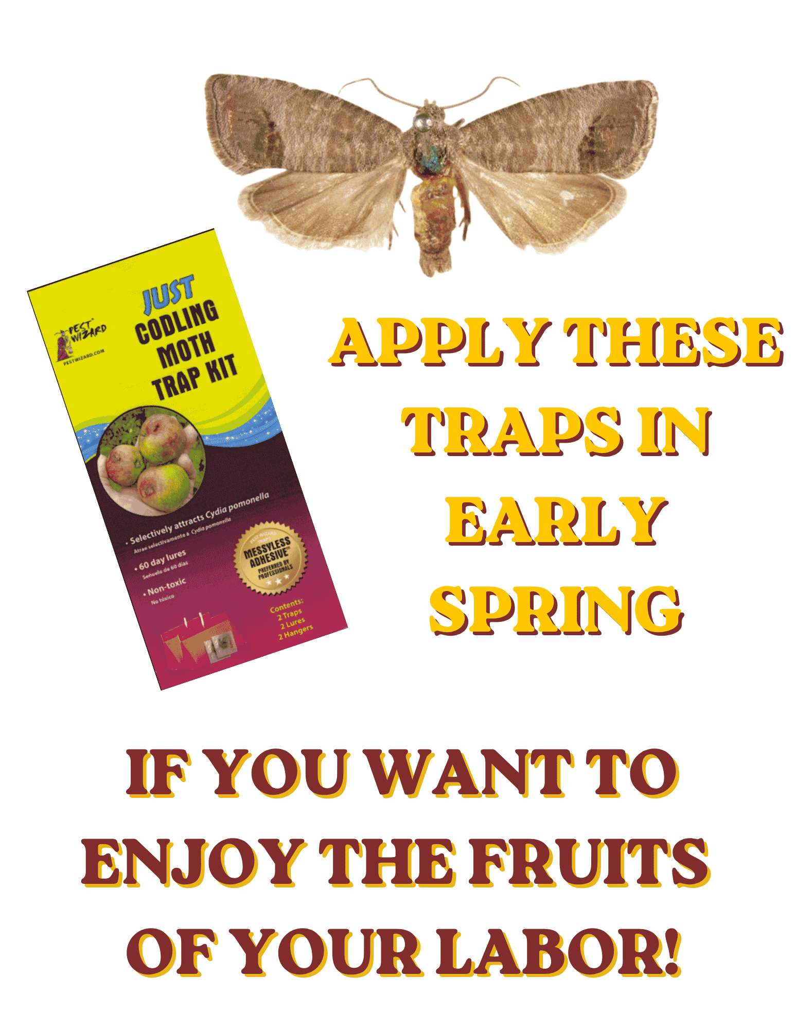 beneficial insects are here (8)
