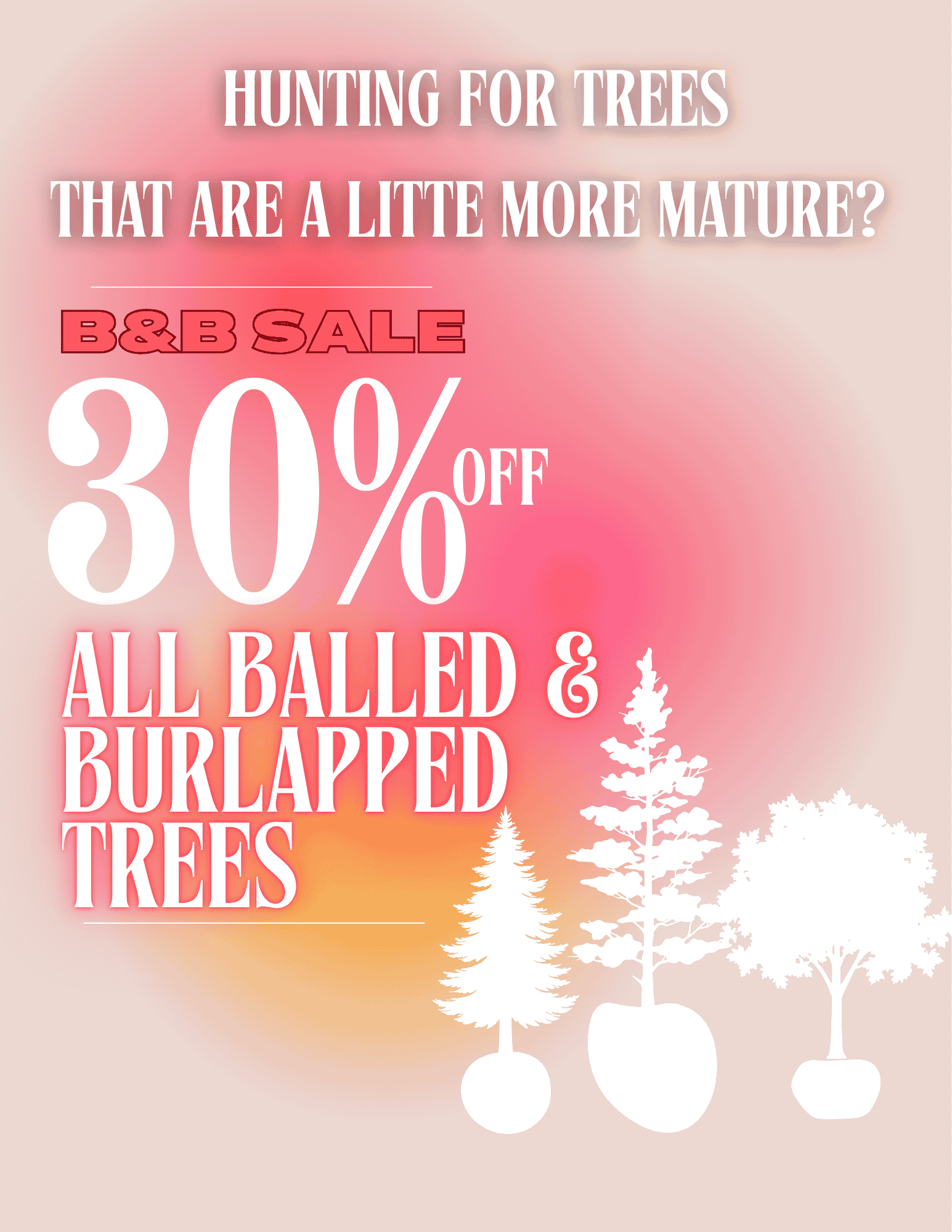 ALL BALLED AND BURLAPPED TREES (Real Estate Flyer)