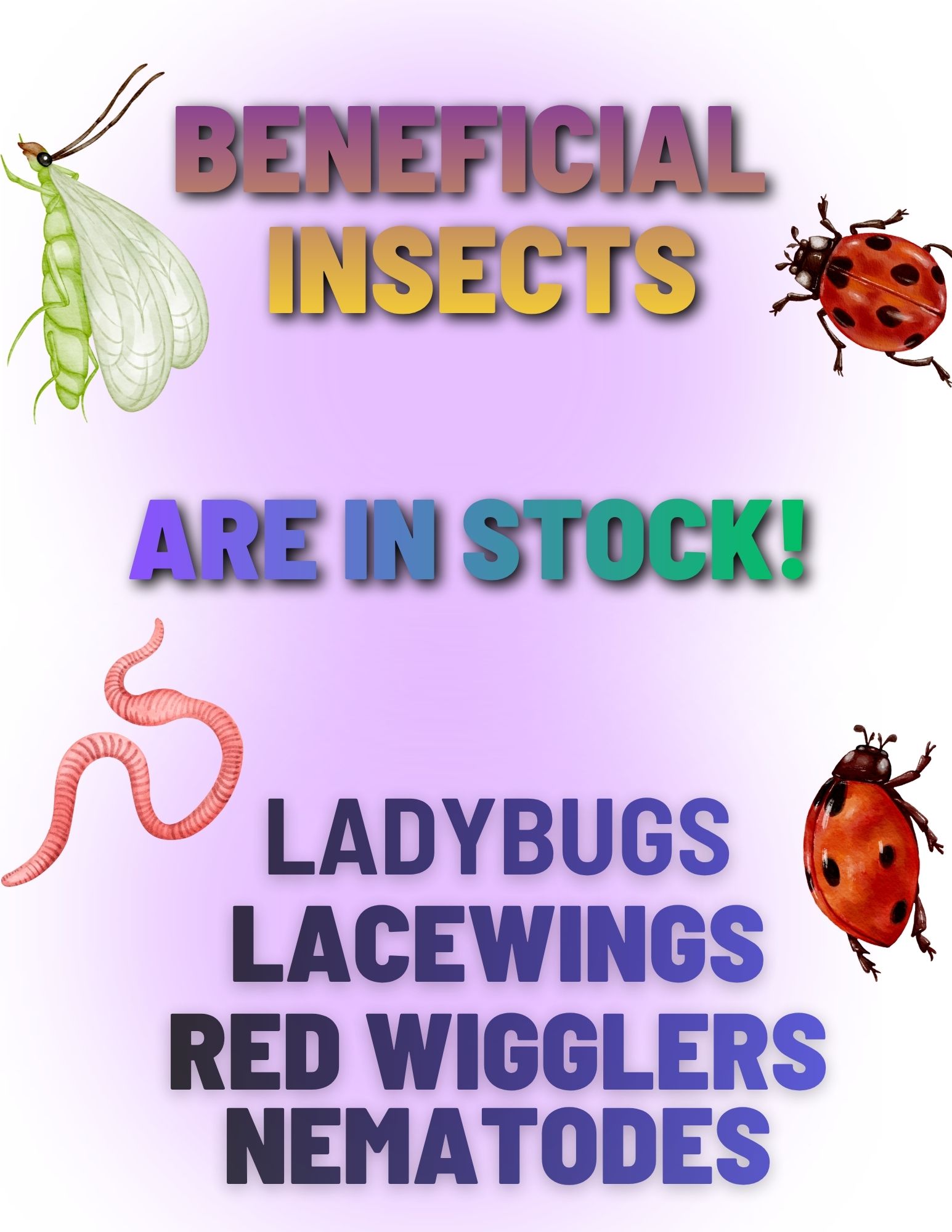 beneficial insects are here (3)