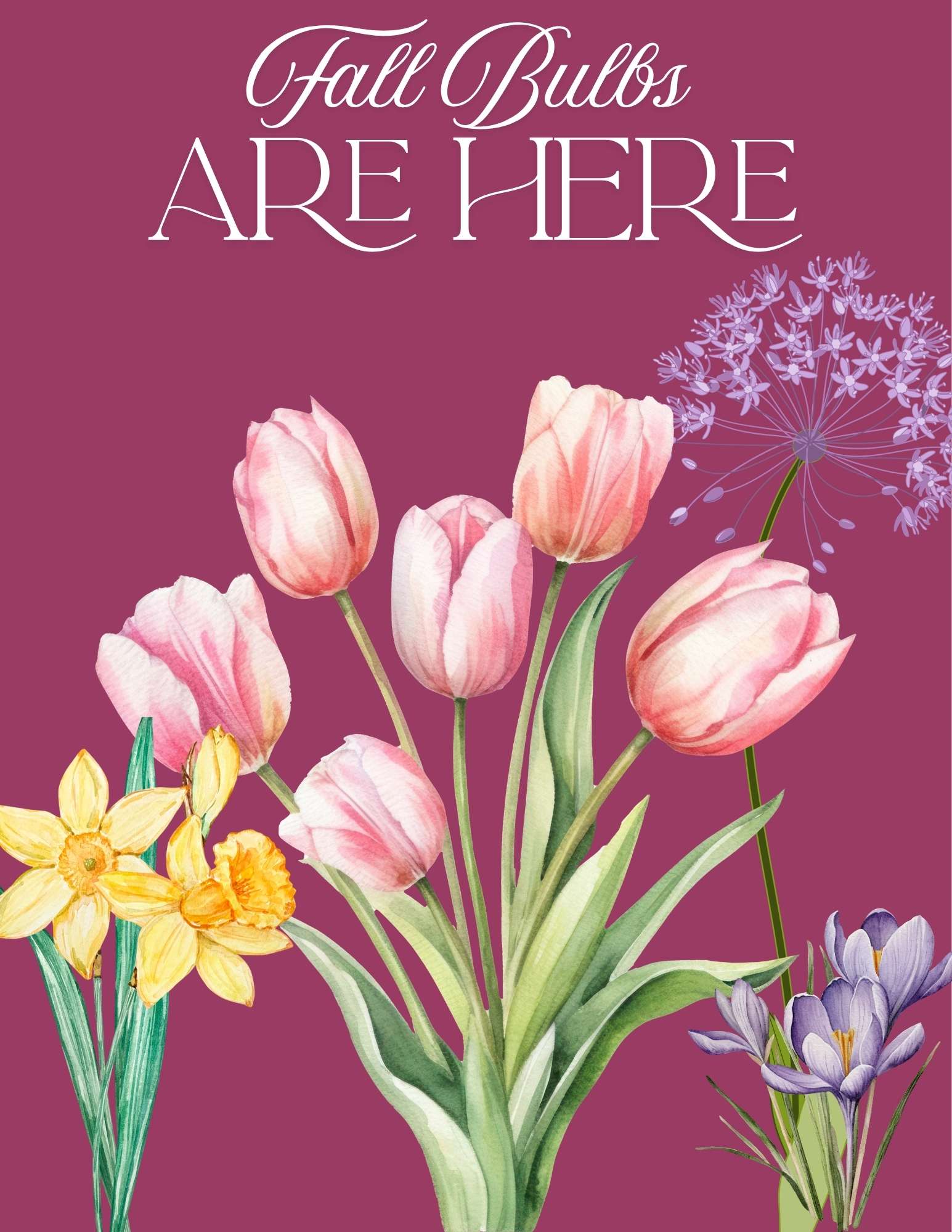 GET YOUR FILL OF FALL BULBS (2)